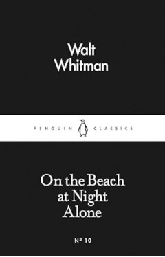 On the Beach at Night Alone